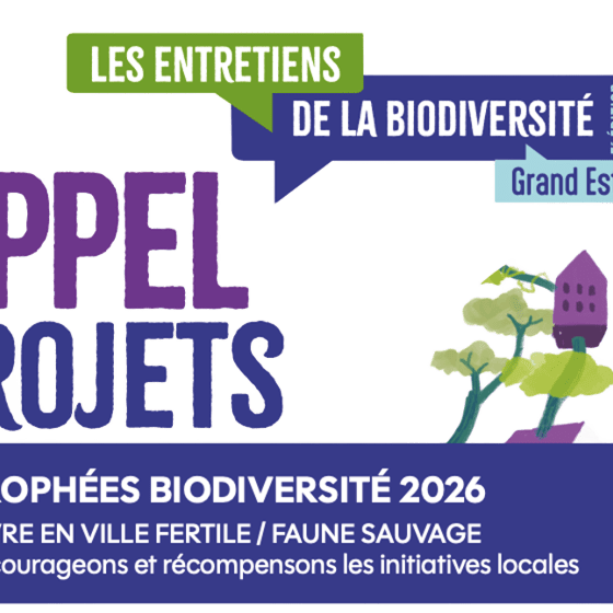 appelaprojets-iee appelaprojets-iee