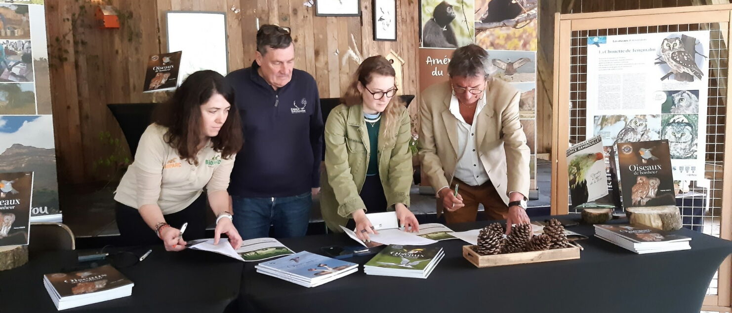 signature-convention