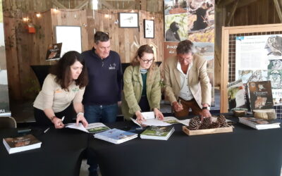 signature-convention