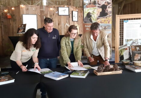 signature-convention